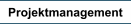 Projektmanagement