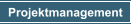 Projektmanagement